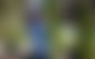 Andreoni and Spector Victorious at Elite Vanderbilt