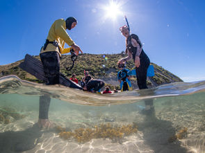 Connecting kōura and kids
