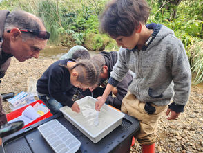 Whangaroa Monitoring Workshop: Continued