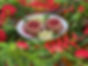catering 5.jpg