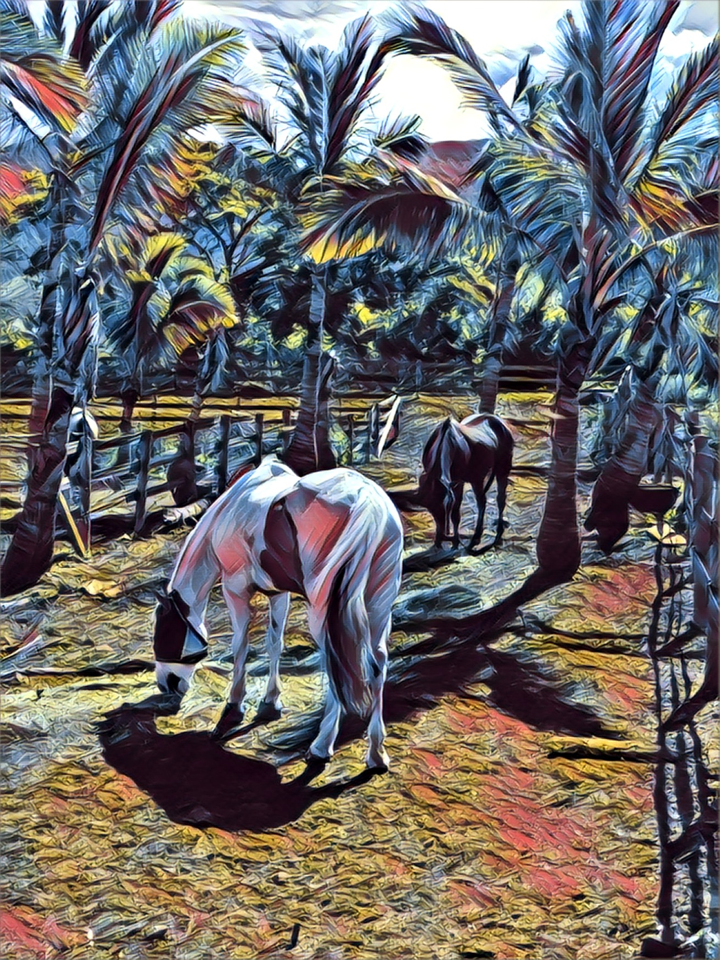 Kahalawai Farms photo 1 in Lahaina