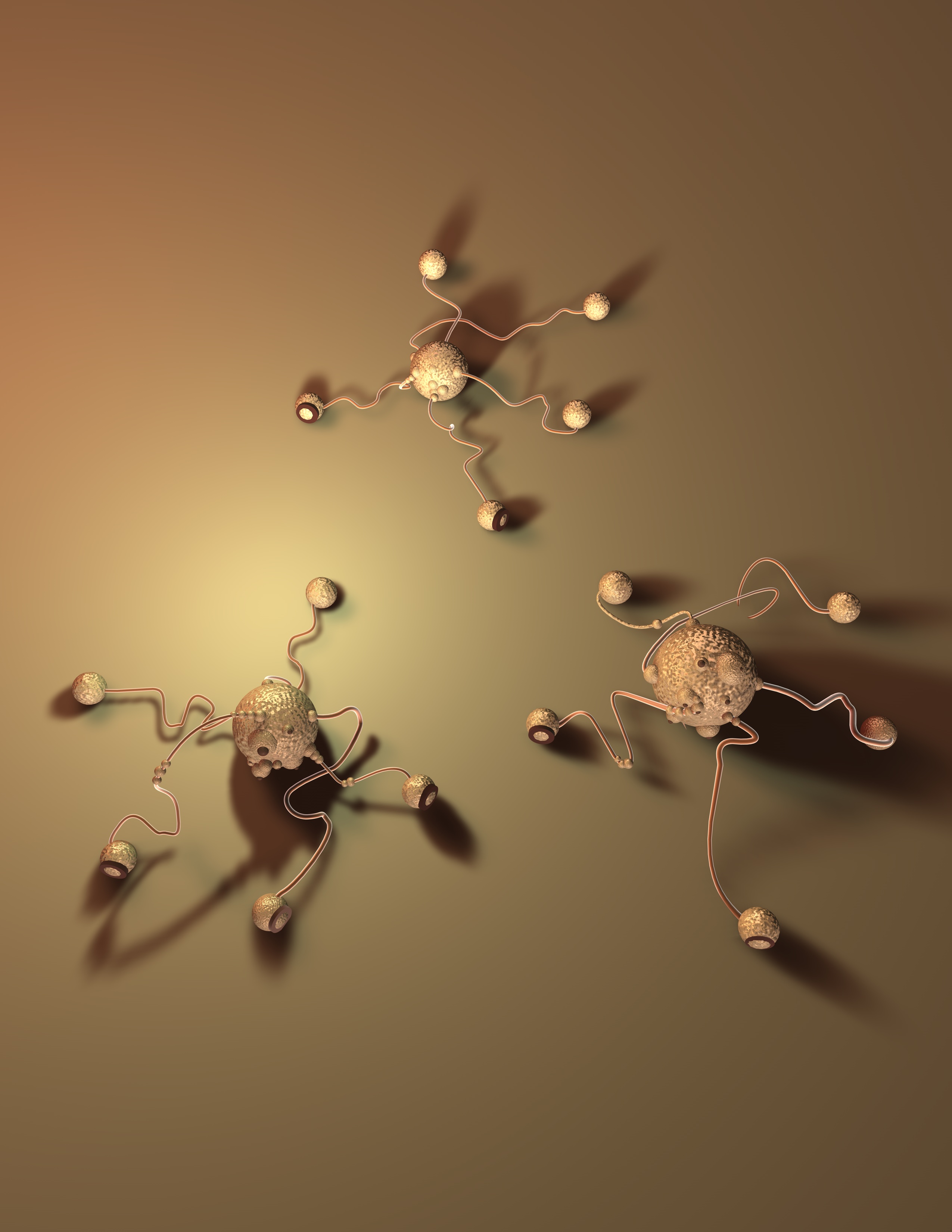 Seed Sculpture 3D Model