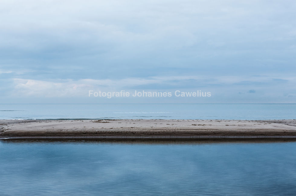 Strand bei Domburg, 2014