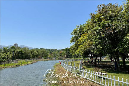 香港公園求婚2.jpeg