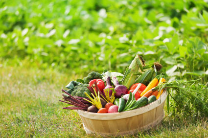 Detoxification and Recovery – What’s The Connection Anyway?