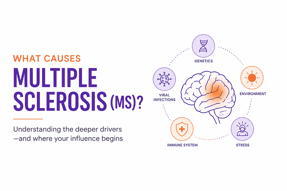 What Causes Multiple Sclerosis (MS)?