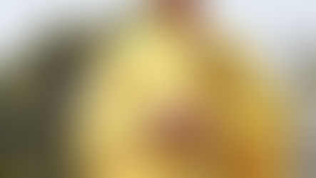 Warning about Thich Truyen Minh the fake monk