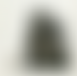 SaaS-dödaren: Et paradigmeskifte med AI