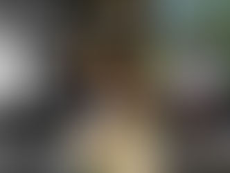 PREVIEW 2025