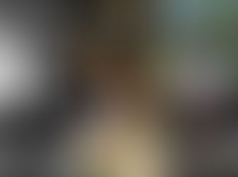 PREVIEW 2025
