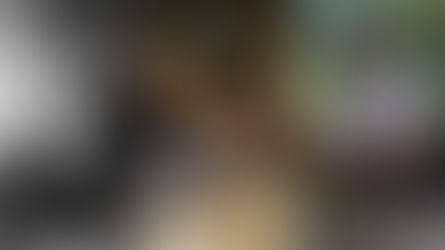 PREVIEW 2025
