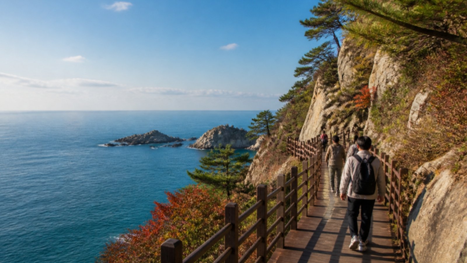 People walking a coastal trail in Busan on a clear autumn day
