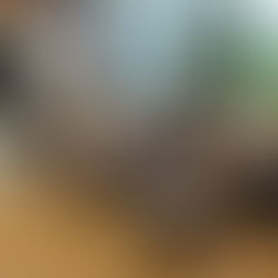 Smart Building Association and Ministry of the Interior Construction Research Institute - Seismic Isolation Study Tour