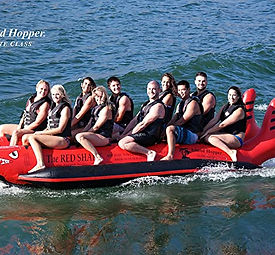 shark tube.jpg