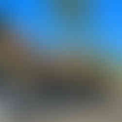 Bike Rentals Fifth Avenue Naples