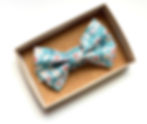 Pallplewick Bowtie