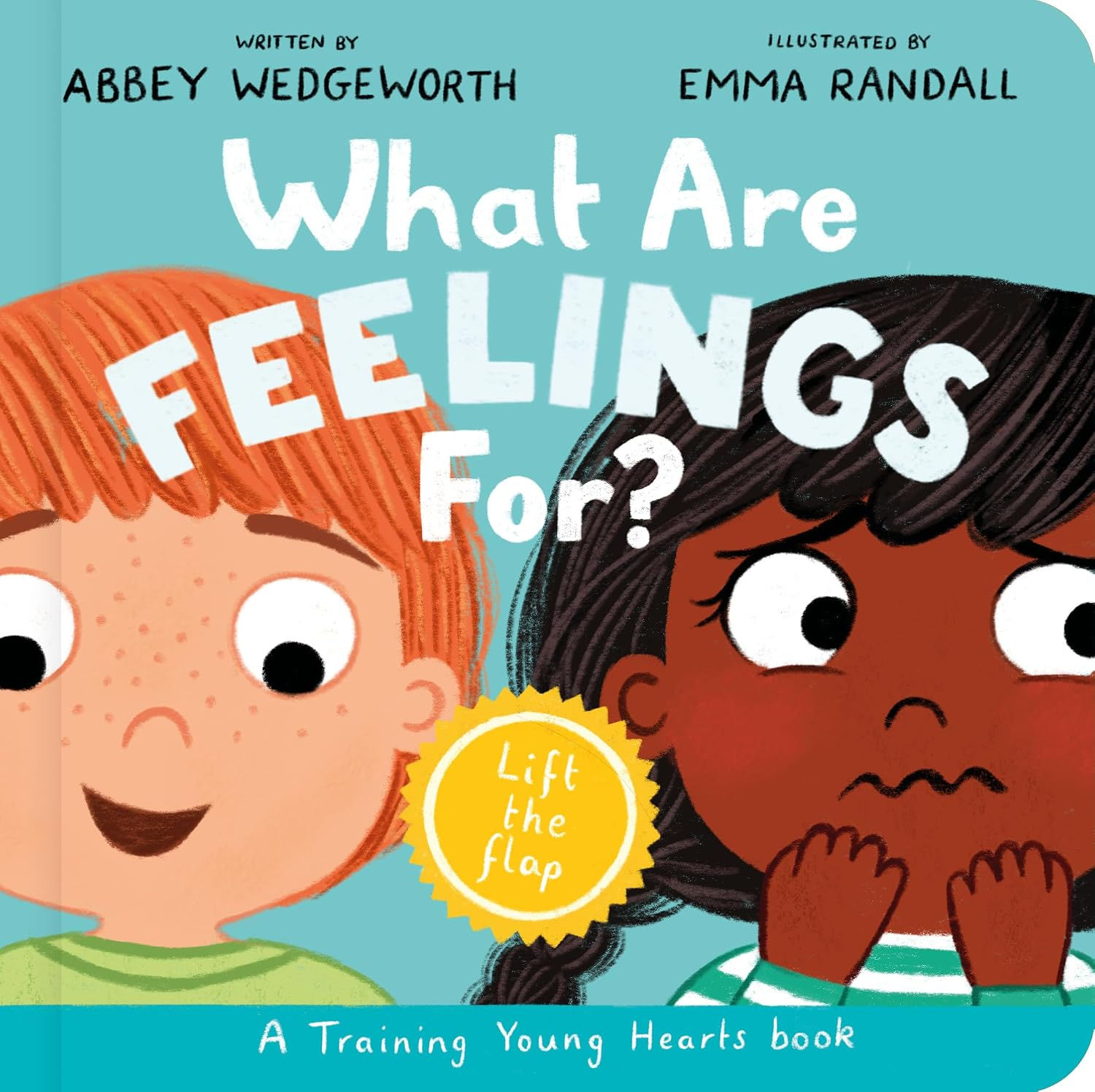 What Are Feelings For? Board Book: A Lift-the-Flap Board Book