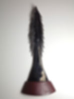 Barbed Spine II