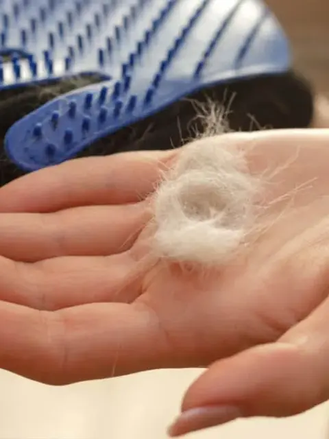 pet grooming glove