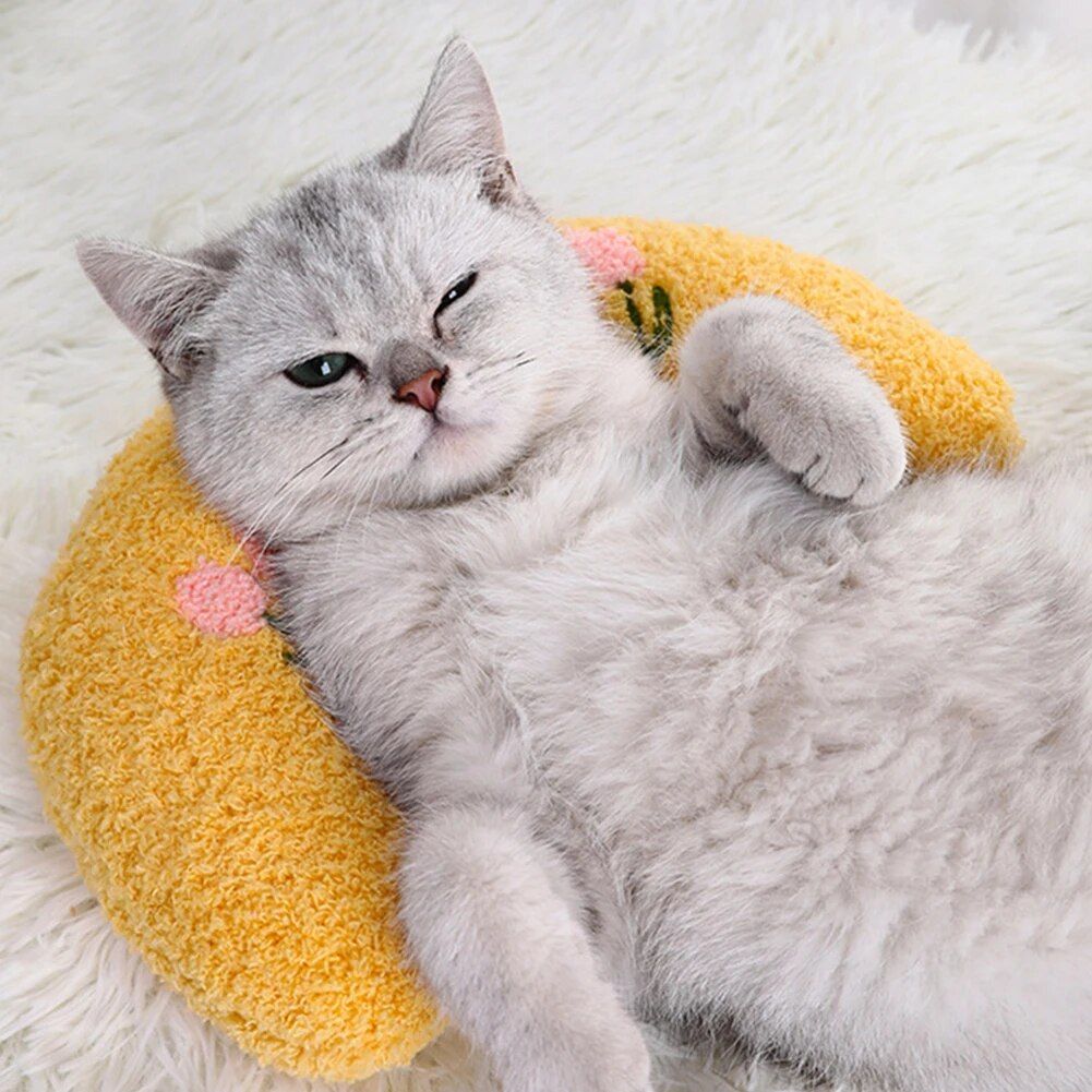 Writer: Thrive & Purr