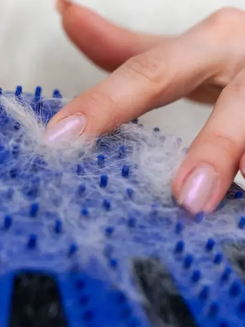 pet grooming glove
