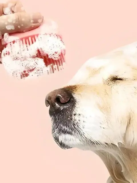 pet shampoo massager brush