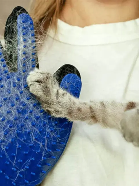 pet grooming glove