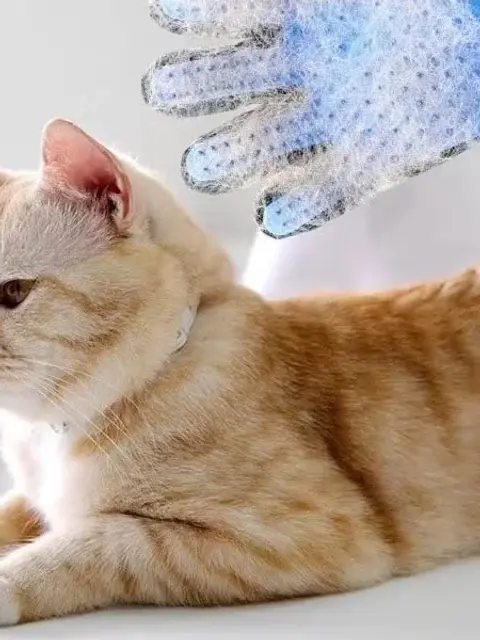 pet grooming glove