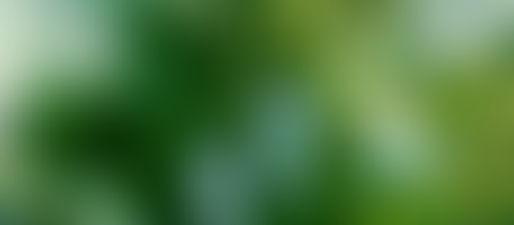 Reduzierung des CO2-Fußabdrucks – über die eigenen Maßnahmen reden