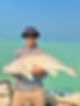 Northern Mulloway.PNG