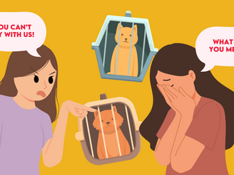 Melbourne Airport and the Last Goodbye