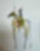 IMG_1224.jpeg
