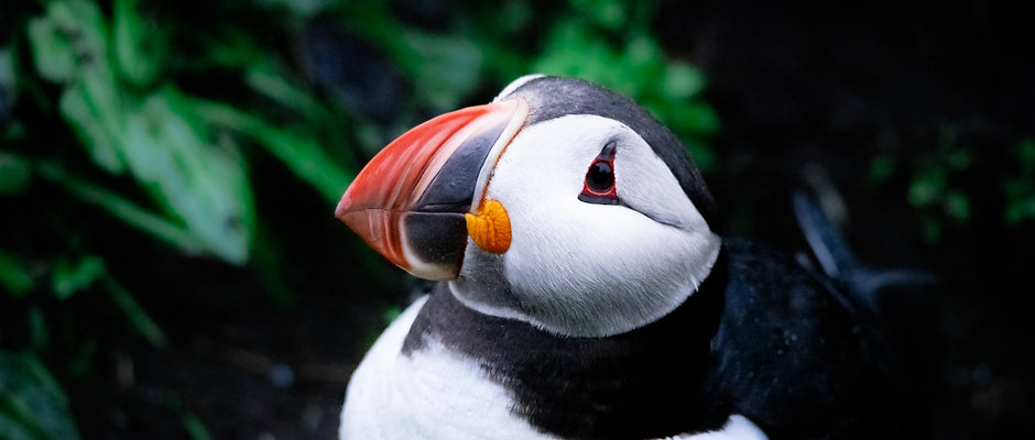 The ultimate guide & itinerary to Iceland (English version)