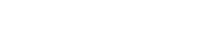 Torchlight Strategy Logo