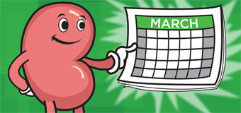 10 Things Your Kidneys Do