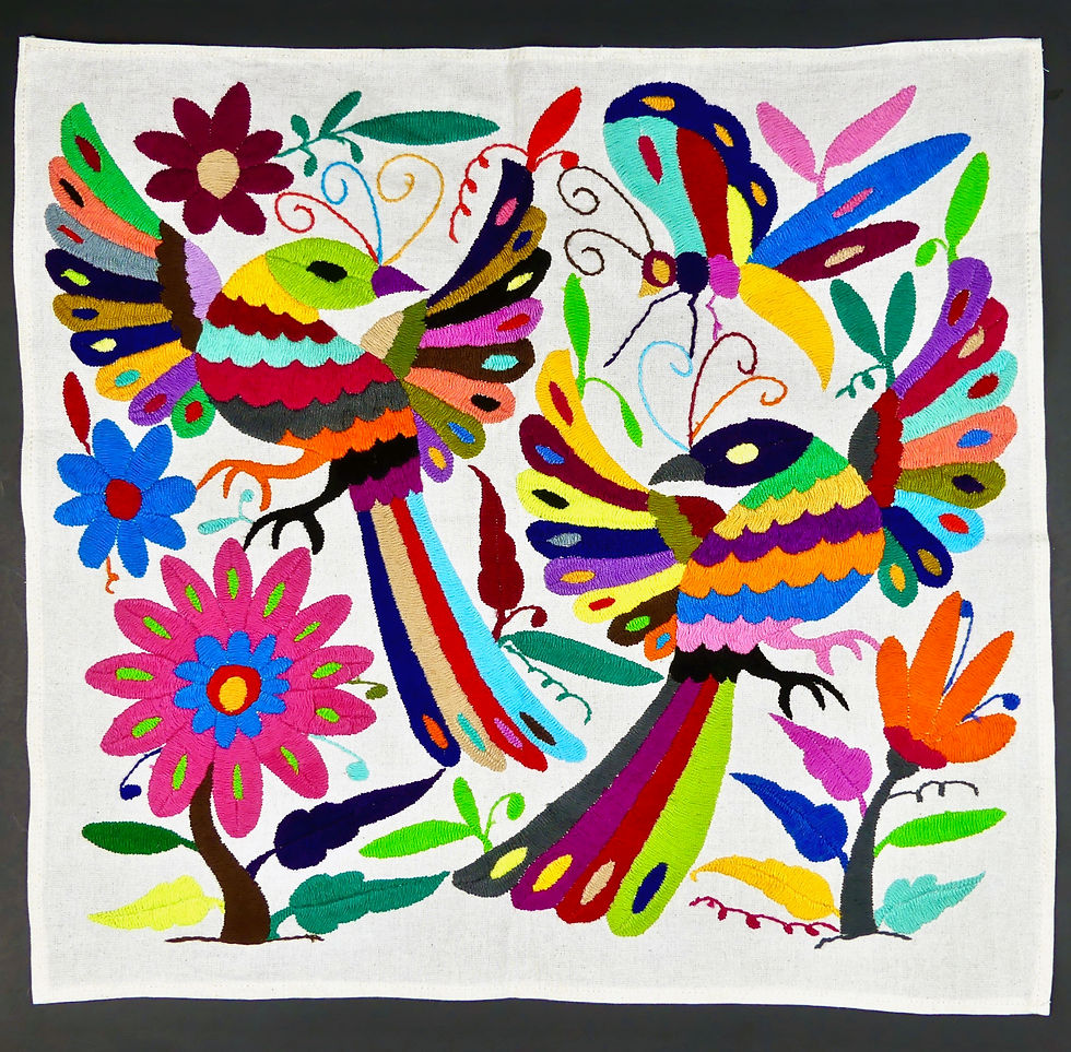 Thumbnail: BIRDS Embroidered Otomi Wallhanging