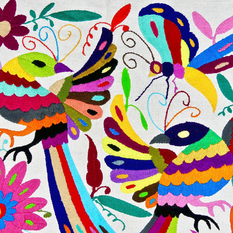 Thumbnail: BIRDS Embroidered Otomi Wallhanging