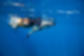 snorkelers-2.jpg