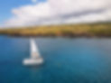 kohala-blue-aerial-5.jpg