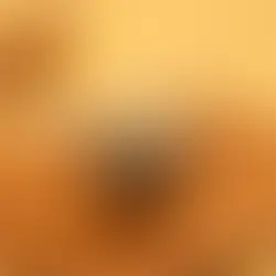 Masque cuir chevelu gras