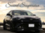 ssdemocar_chr