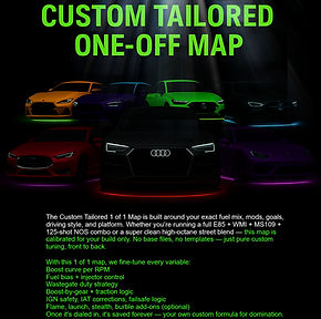 1 OF 1 CUSTOM TAILORED MAP_edited.jpg