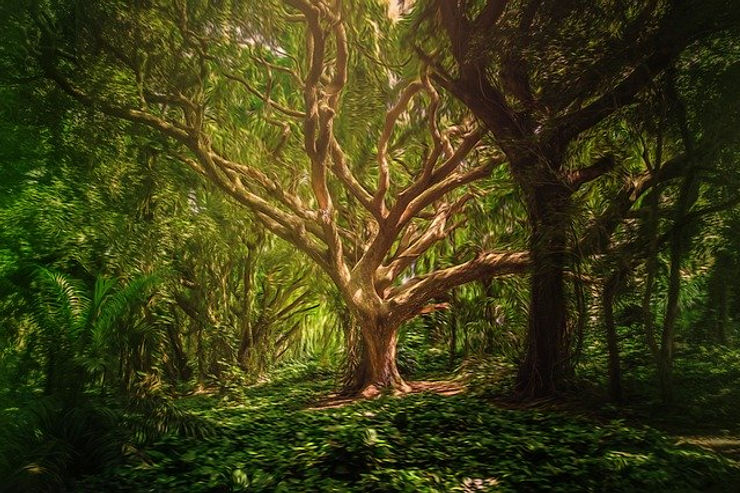 ree