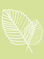 Fagus Hotel