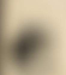 Self-Imposed Gender Limitations