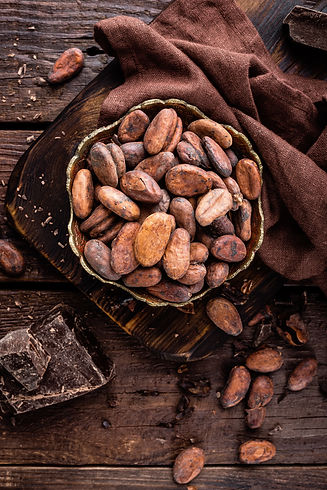 CacaoBean.jpeg