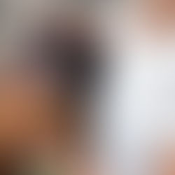 ¿Qué hacer una vez que integras a un perro o gato a tu familia? 85% de los mexicanos muestra empatía por los animales