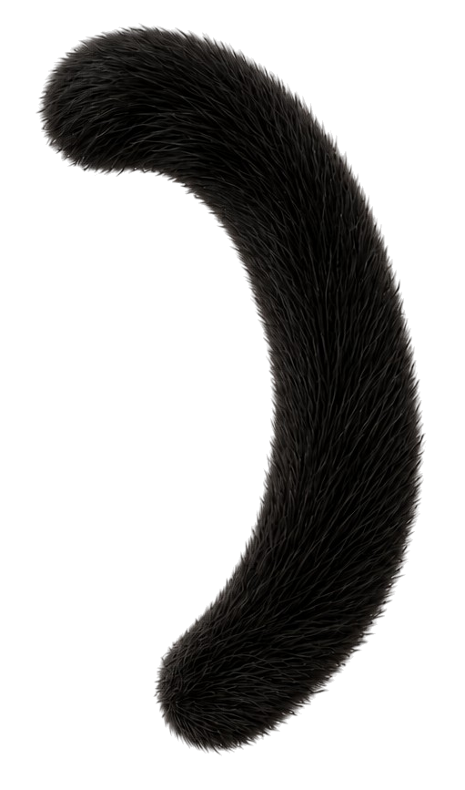 しっぽ01.png