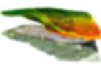 curvelivello.jpg