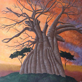 BAOBAB SUNSET light.jpg